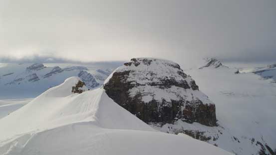 Looking back, almost as high as "Colliesha" now