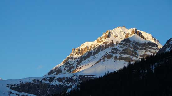 Impressive Peyto Peak