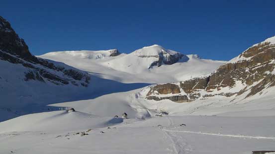 Gorgeous view of Peyto Glacier from the crest of the moraine. Well, it also shows the elevation loss...