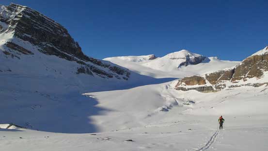 Another photo of the Peyto Glacier