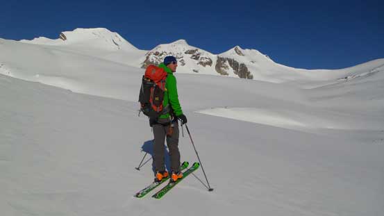 Vern with Baker, Tilly and Trapper behind