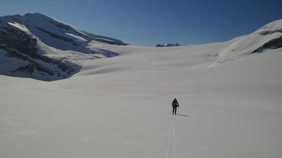 Looking back at the Wapta Icefield