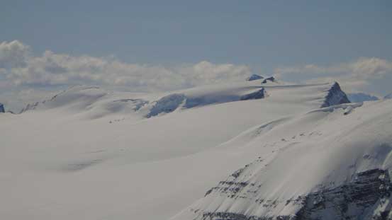 I solo'd Mt. Gordon 2 yeas ago. It was my first summit on the Wapta Icefield