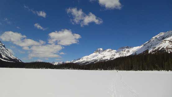 Mount Weed in the background.