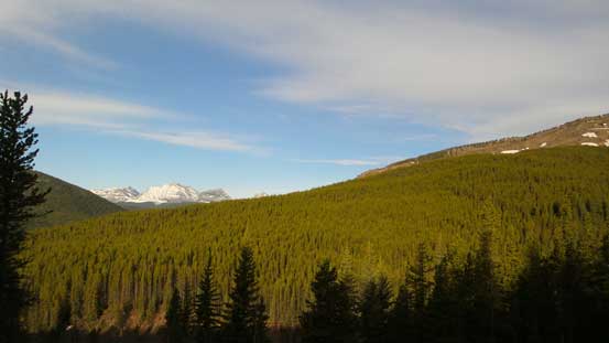 Morning light creates some nice colours