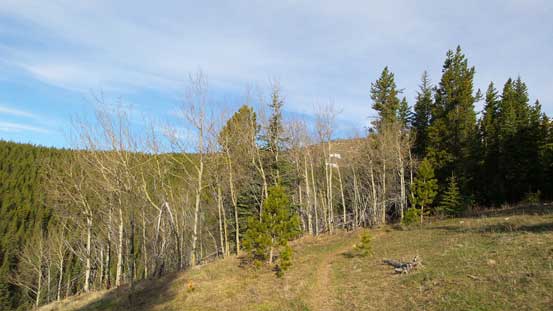 Following a good trail