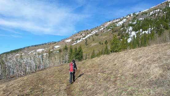 We aimed straight ahead here