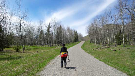Hiking up Gorge Creek Road at the start of this trip