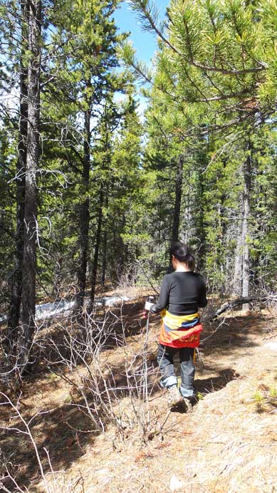 Typical view from most part of the ridge...