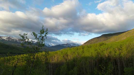 A view from just after the start