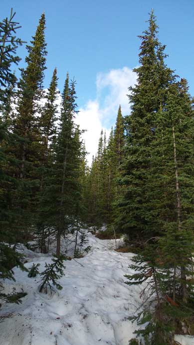 Start to encounter snow