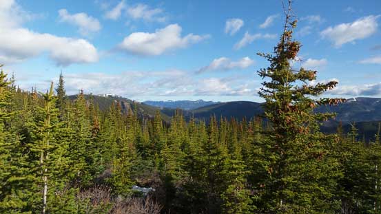 More view from near treeline