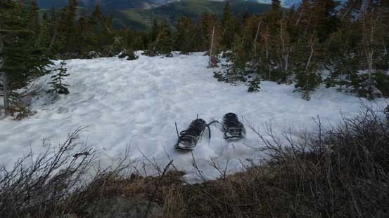 Ditched snowshoes at treeline
