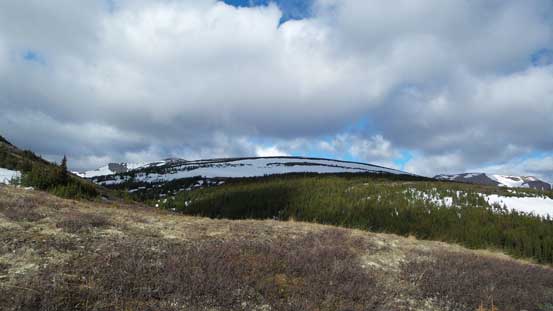 A view towards Lightning Ridge