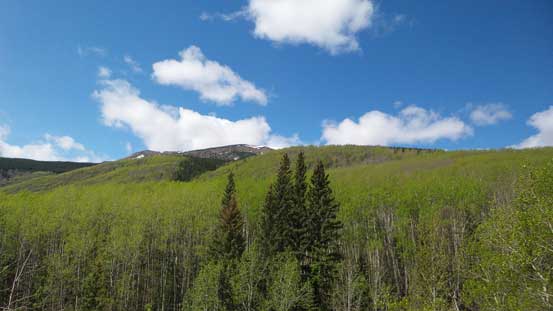 Looking back up towards the summit.
