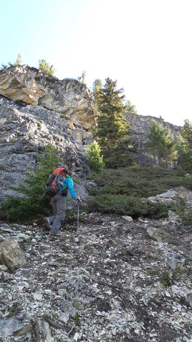 Continuing up the steep forest