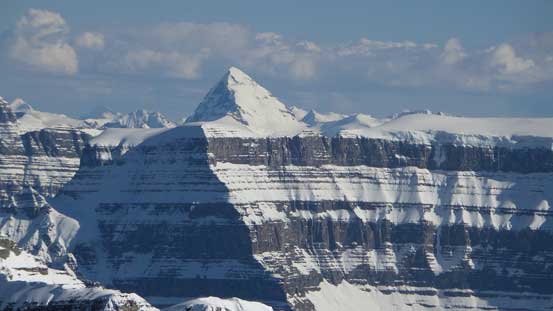 Mt. Forbes rises behind the shoulder of Mt. Amery