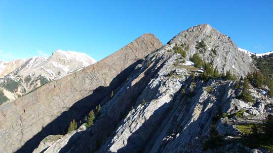 Higher up, finally got a view of the twin summits