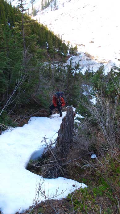 Ascending steep lower bushy section of Ursus Trees.