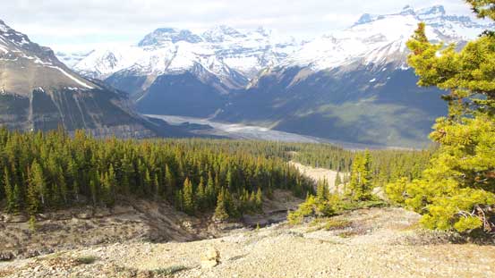 Into the woods. It was very hot at this stage