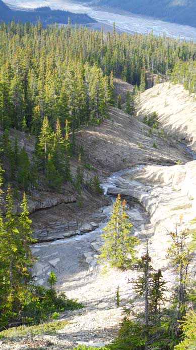 A nearby creek and canyon