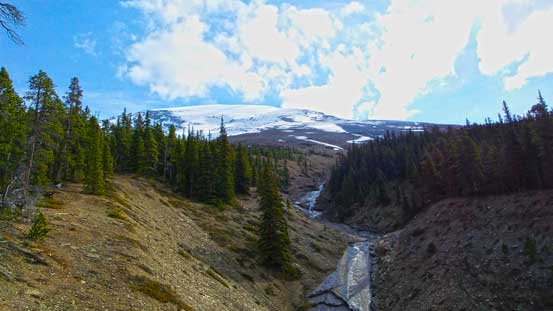 Looking back towards the summit
