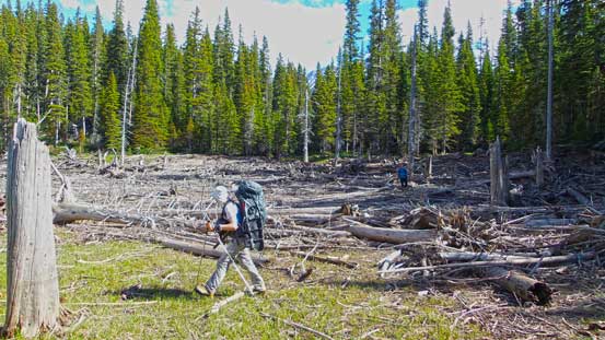 Negotiating a field of deadfalls just before Hidden Lake