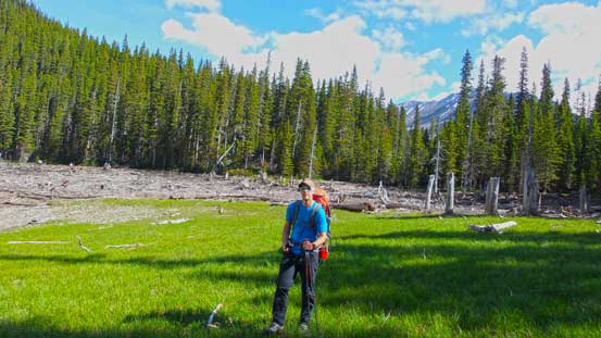 Vern on a grass field