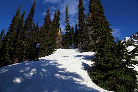 Me ascending open forest towards treeline. Photo by Ben