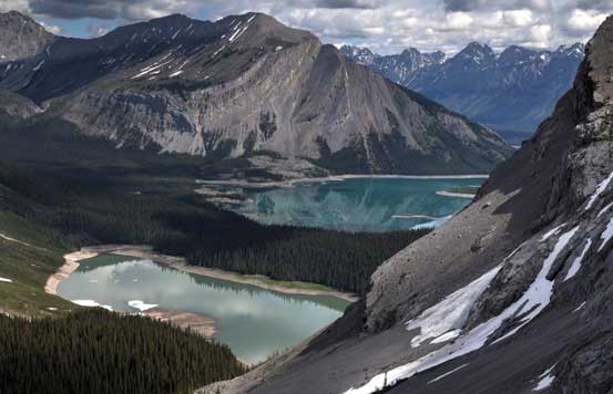 A closer look. Photo by Ben