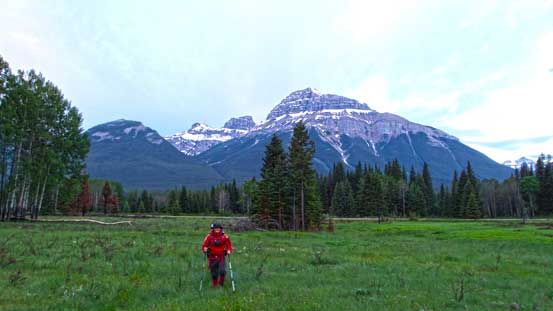 Brandon hiking across Hillside Meadow in the morning