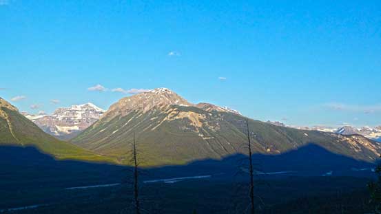 A view of Copper Mountain from the forest