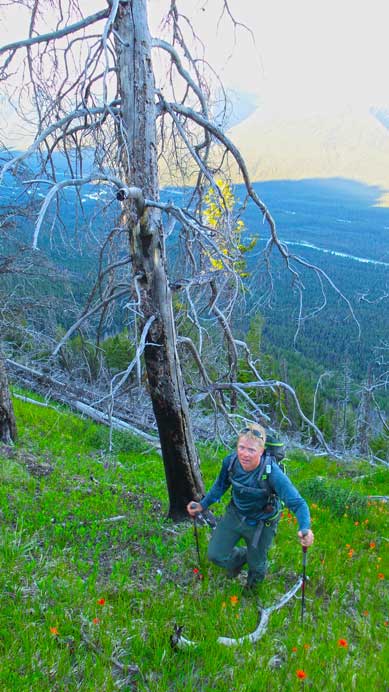 Josh ascending the steep forest