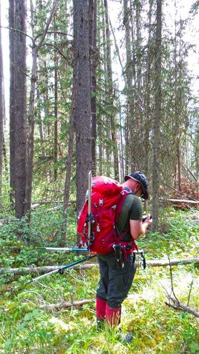 The last bit of the forest. Brandon checking his GPS