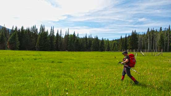 Onto Hillside Meadows. Home free now...