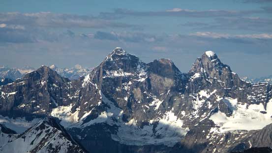 The fearsome Goodsirs