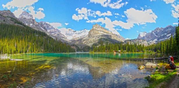 Panorama of Lake O'Hara from the start of this trip