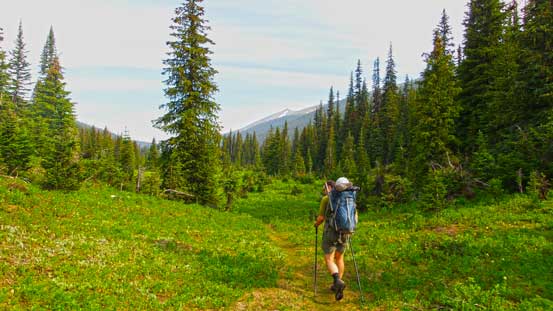 Hiking up the trail - typical view