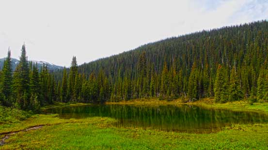 We passed quite a few tarns like this. No wonder why mosquitoes were insane...