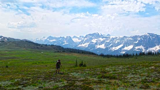 This is a lovely area to wonder around