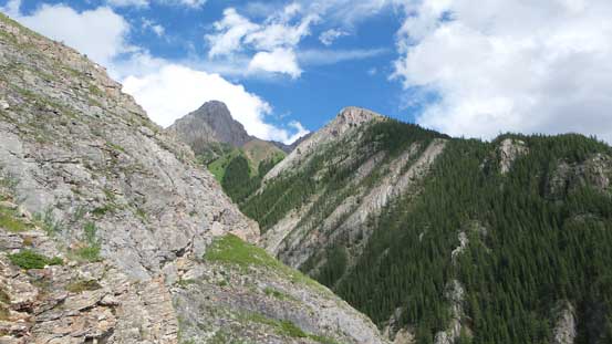 A view from the trail