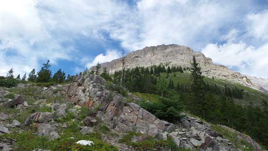 This is Grizzly Peak, higher than it looks