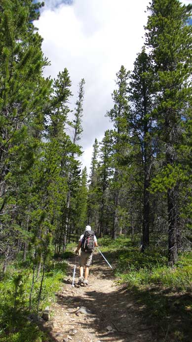 Hiking up the excellent trail - wish we'd found it earlier...
