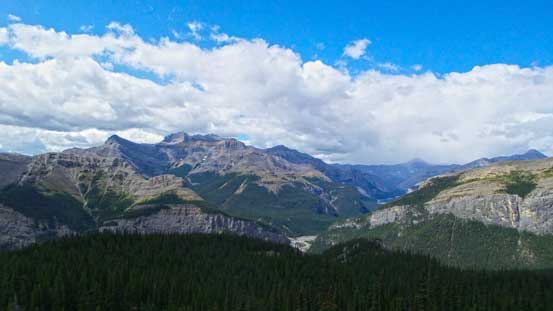 A view towards Mt. Costigan from near treeline
