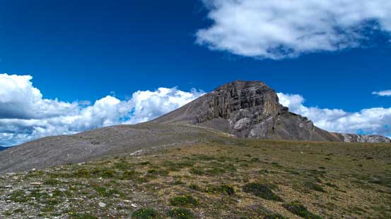 We gained the plateau, and the summit was finally in sight
