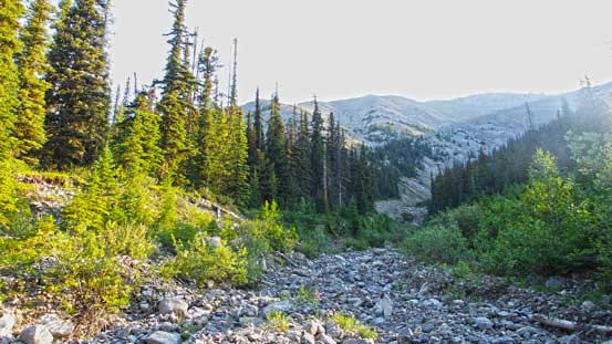 Looking up the ascending drainage. I went up the left side of it and came down the right side
