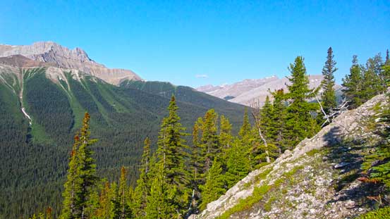 A view from the ascending rib