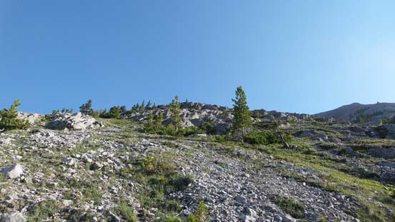 Looking up this broad rib. Typical terrain