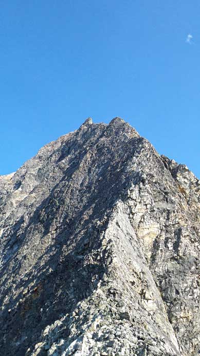 NW ridge seen from Uto/Sir Donald col in the afternoon.