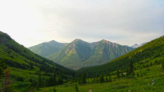 Looking back from above treeline